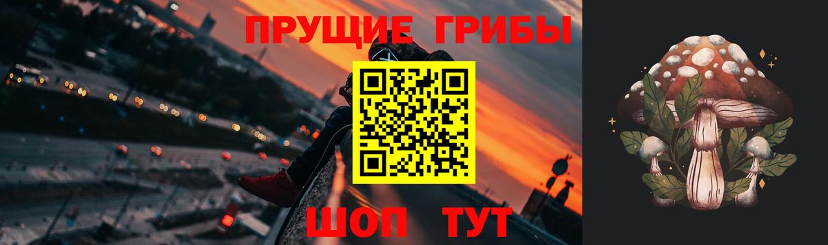 Галлюциногенные грибы Psilocybine cubensis  Вход с VPN  Королёв 